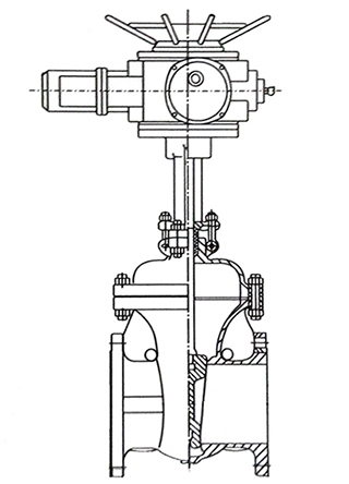 齒輪閘閥(fa)結構示意圖