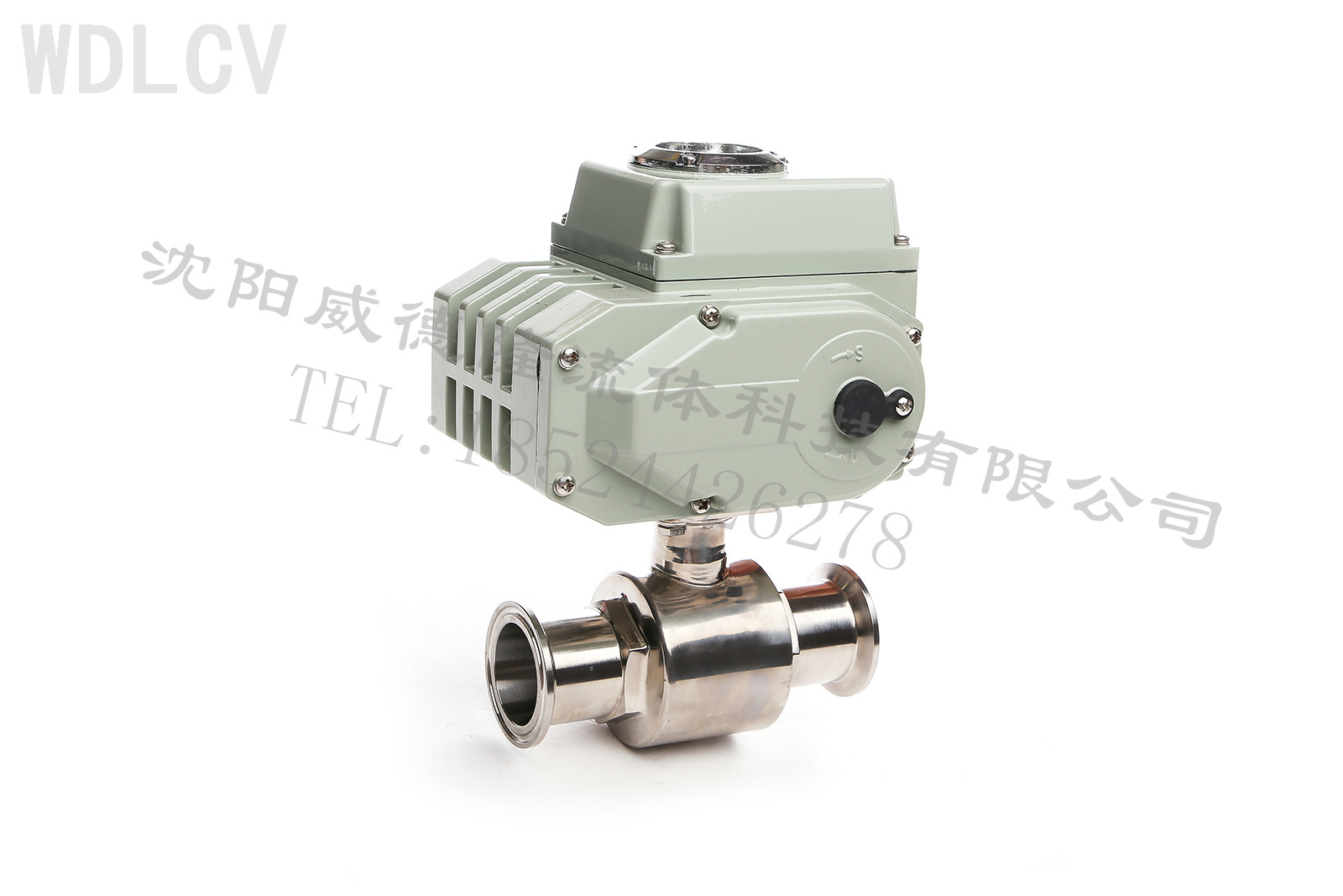 衛生級(jí)電動球閥 WDLQ981F