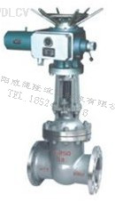 電動楔式閘閥(fá) WDLZ941H