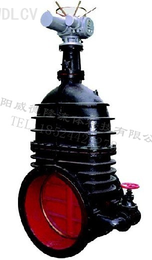鑄鐵(tie)電動暗杆閘閥(fá) WDLZ941T-10 